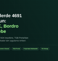 Teknokentlerde 4691 sayılı Kanun kapsamında vergi, SGK, bordro ve muhasebe uygulamaları rehberi kapak görseli